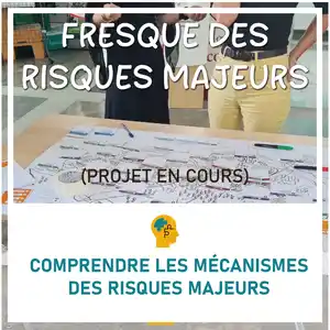 Fresque des Risques Majeurs des Pyrénées - Conception graphique d'un outil de médiation